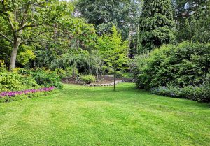 Optimiser l'expérience du jardin à Matafelon-Granges